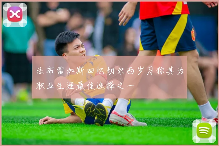 法布雷加斯回忆切尔西岁月称其为职业生涯最佳选择之一