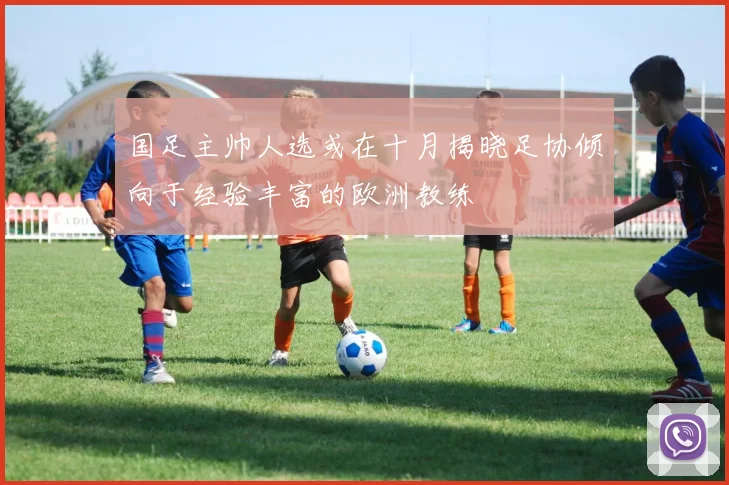 国足主帅人选或在十月揭晓足协倾向于经验丰富的欧洲教练