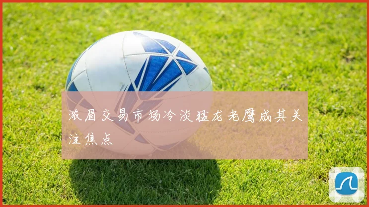 浓眉交易市场冷淡猛龙老鹰成其关注焦点