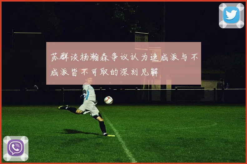 苏群谈杨瀚森争议认为速成派与不成派皆不可取的深刻见解