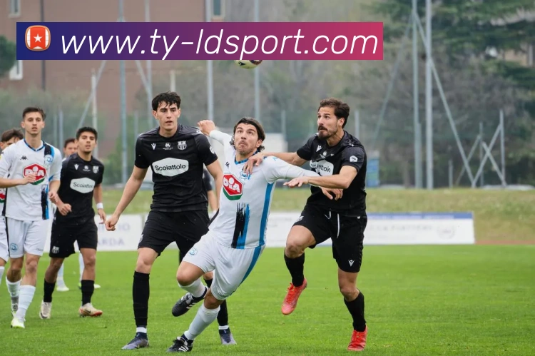 乐动足球平台生态图