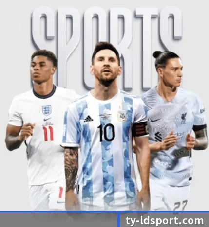 五大体育板块覆盖,从比分到直播全覆盖 | LDSPORTS