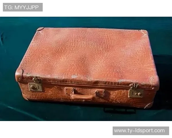 德媒揭示阿德耶米神秘盒子真相并非误购武器背后故事 德媒揭示阿德耶米神秘盒子真相并非误购武器背后故事