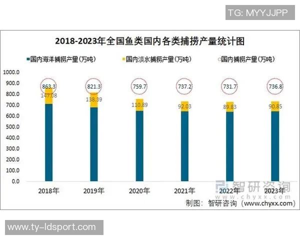 徐静雨分析布伦森历史地位提升文班尚需努力提升产量与未来潜力